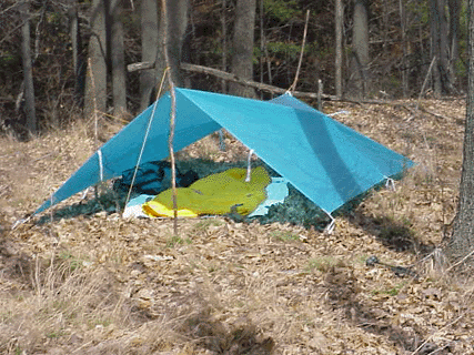 Tarp Camping